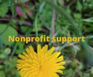 Nonprofit support for your website