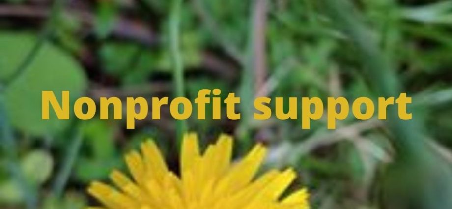 Nonprofit support for your website