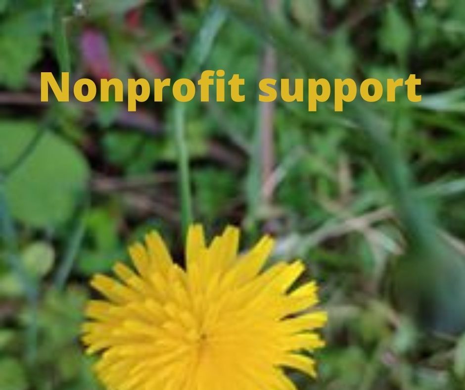 Non profit website support